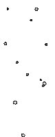 Shining Stars